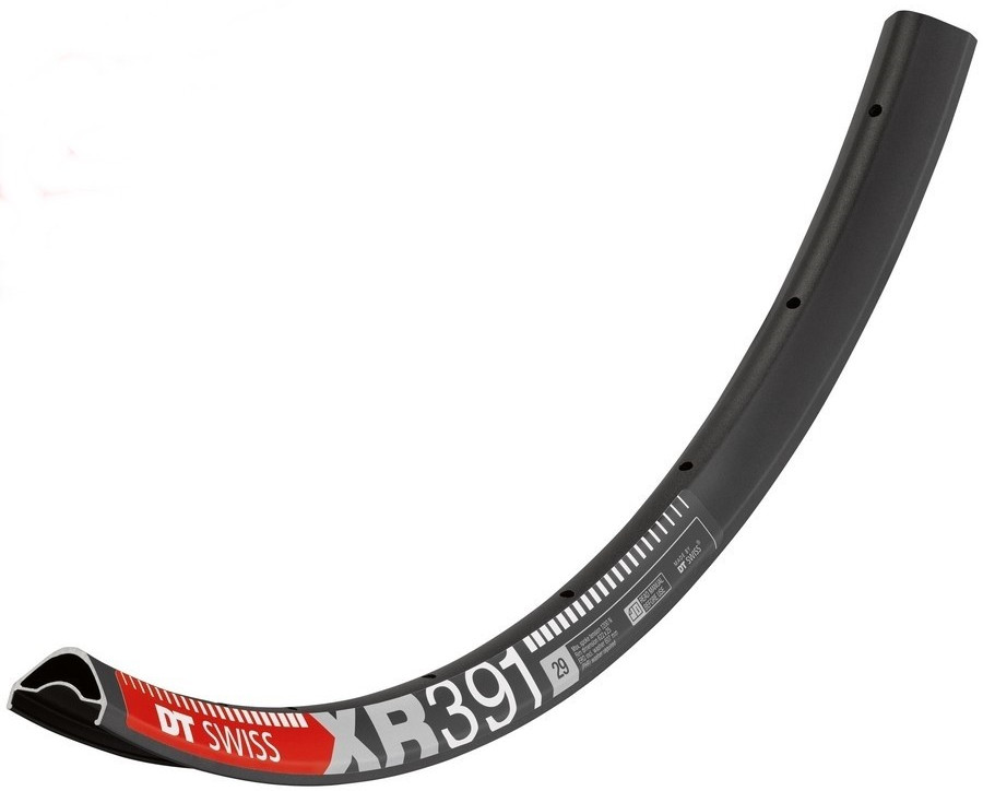 Ráfek DT Swiss XR 391 Velikost pláště: 29", Počet děr: 32 děr