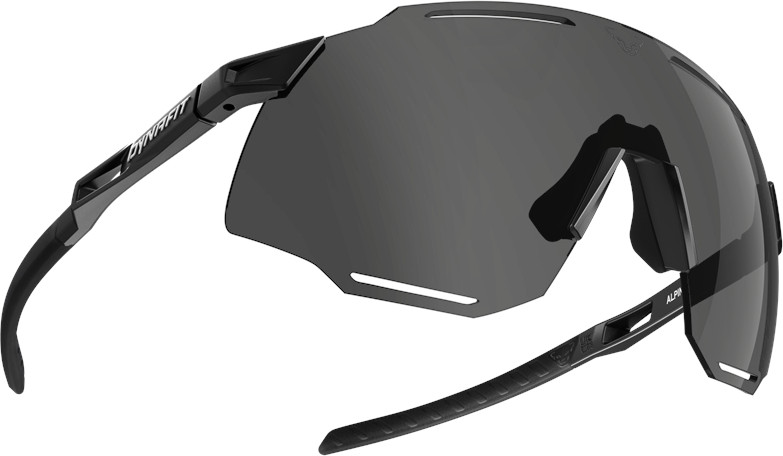 Brýle Dynafit Alpine black out/nimbus Barva: černá, Velikost: UNI