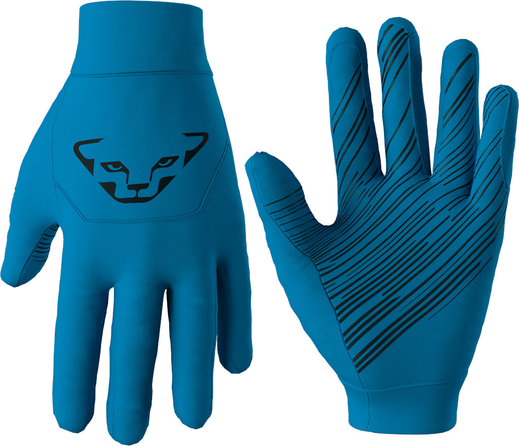 Rukavice Dynafit Upcycled Speed methyl blue Barva: modrá, Velikost: L