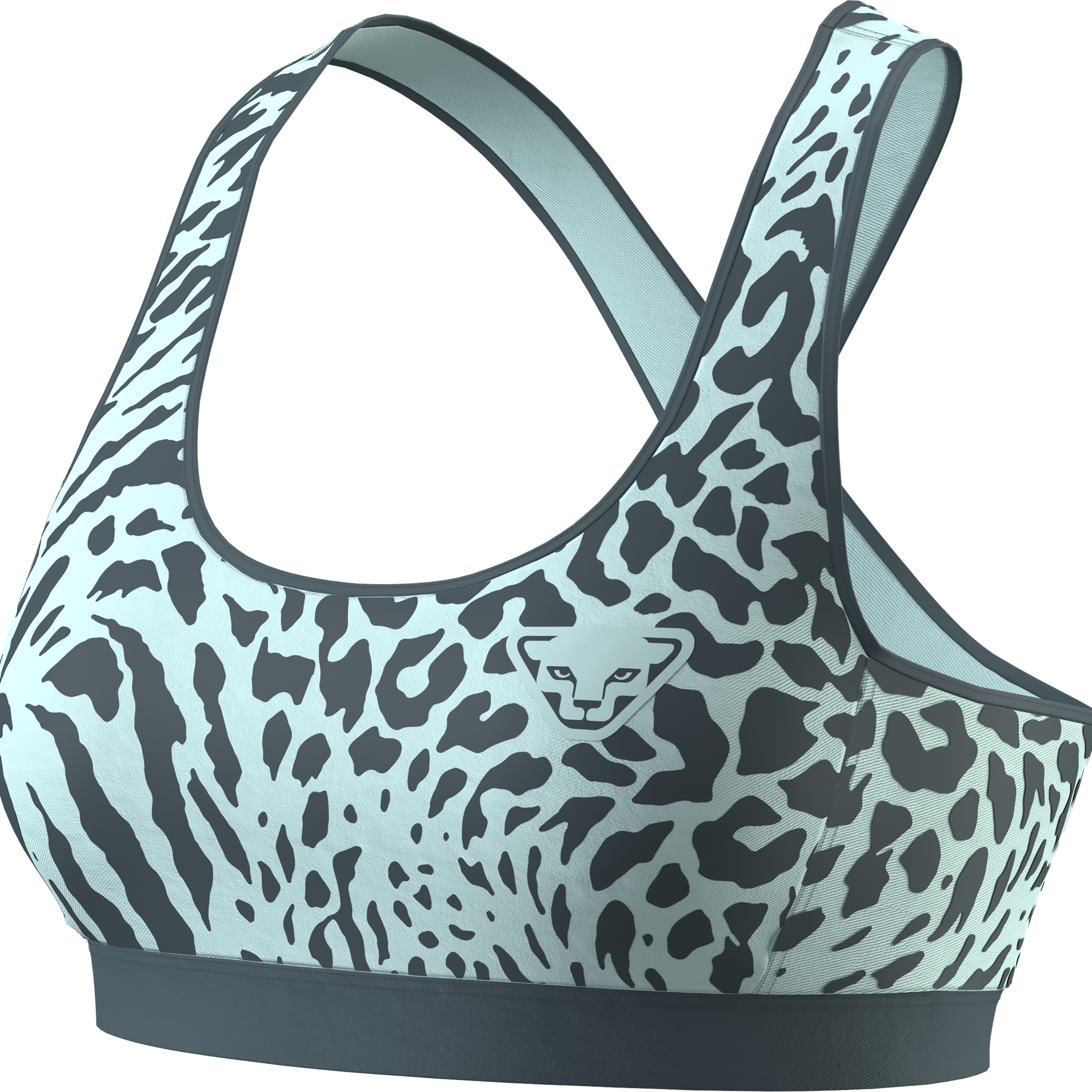 Podprsenka Dynafit Alpine Graphic Bra W cloud blue Barva: modrá / šedá, Velikost: XL