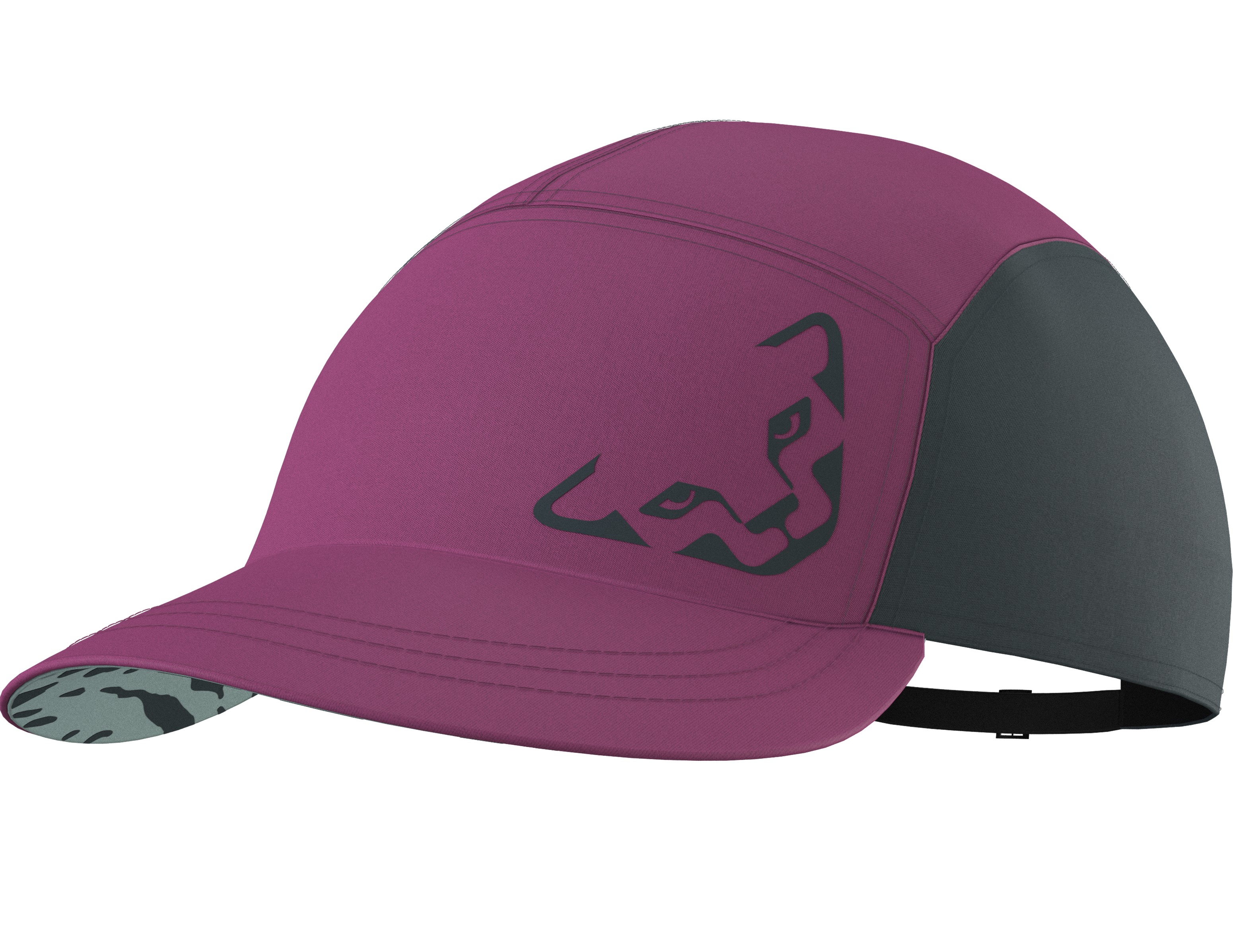 Kšiltovka Dynafit Alpine Cap magenta Barva: fialová / šedá, Velikost: UNI