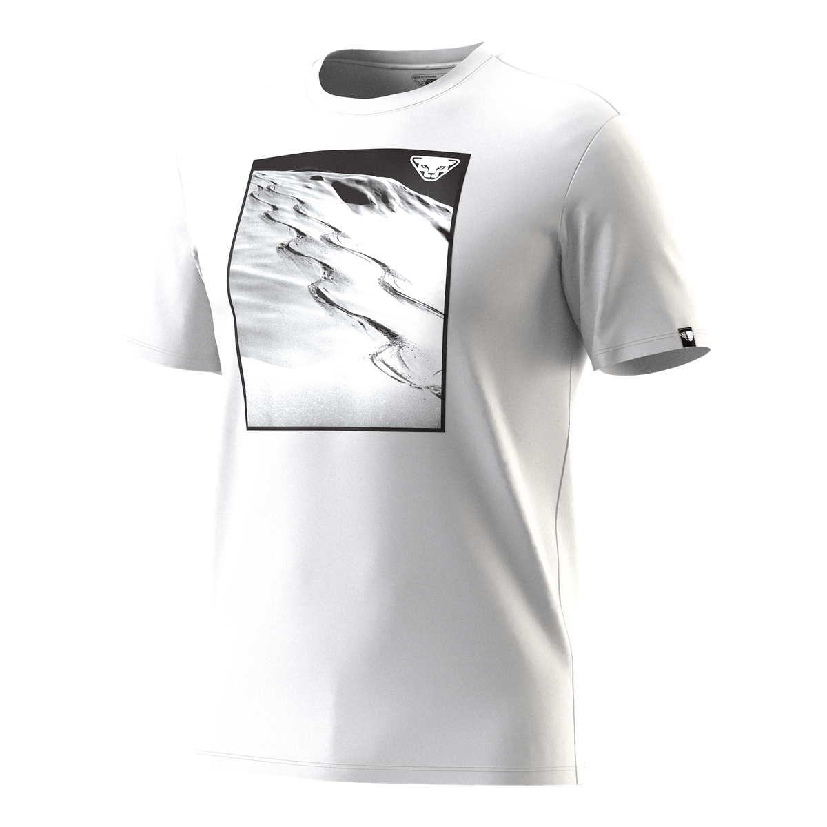 Pánské tričko Dynafit Graphic Cotton nimbus Barva: nimbus, Velikost: M